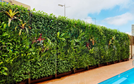 Вертикальное озеленение – эффектный и многофункциональный прием